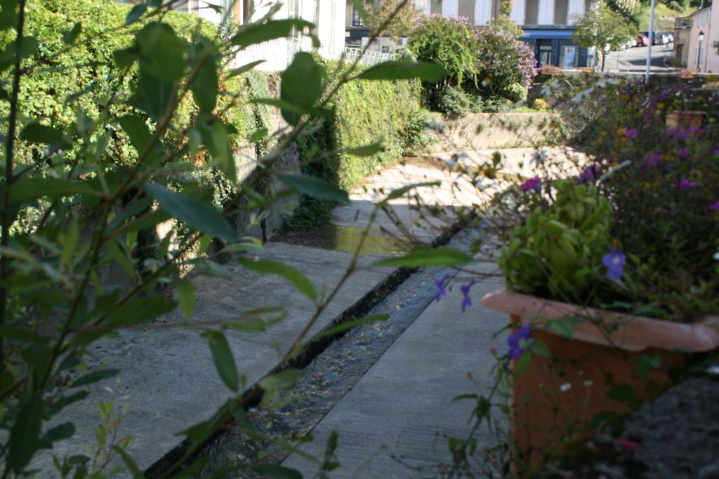 Studio Le Nid Du Saleys Leilighet Salies-de-Béarn Rom bilde